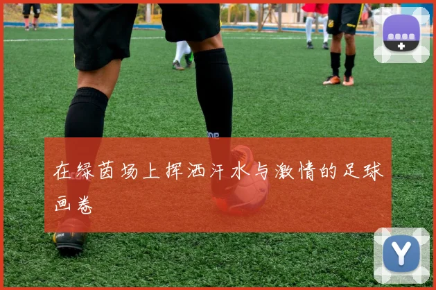 在绿茵场上挥洒汗水与激情的足球画卷