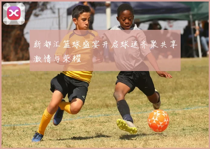 新都汇篮球盛宴开启球迷齐聚共享激情与荣耀