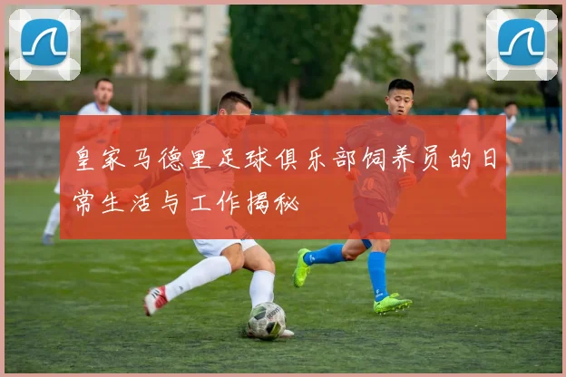 皇家马德里足球俱乐部饲养员的日常生活与工作揭秘