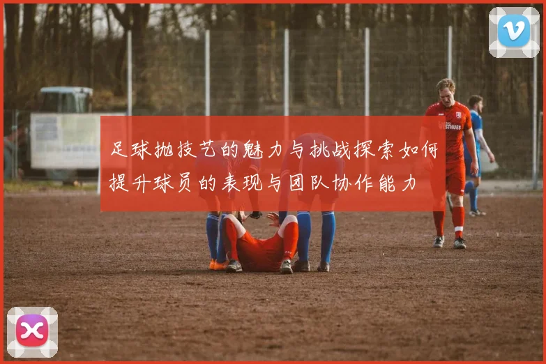 足球抛技艺的魅力与挑战探索如何提升球员的表现与团队协作能力