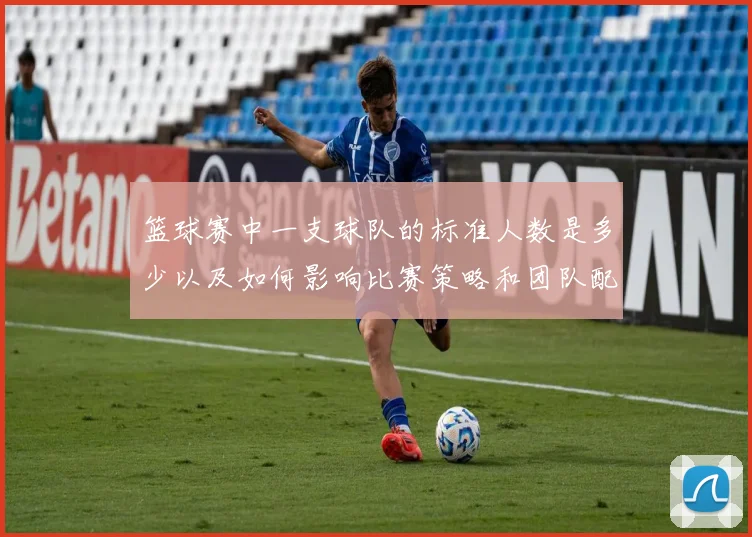篮球赛中一支球队的标准人数是多少以及如何影响比赛策略和团队配合