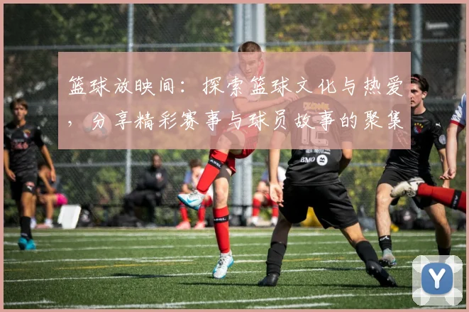 篮球放映间：探索篮球文化与热爱，分享精彩赛事与球员故事的聚集地