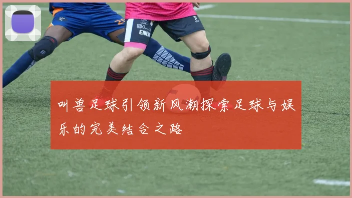 叫兽足球引领新风潮探索足球与娱乐的完美结合之路